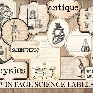Etiquetas científicas vintage, coisas efêmeras de lixo eletrônico, cartões antigos, imagens científicas antigas, biologia, enfeite de álbum de recortes, corte complicado, download