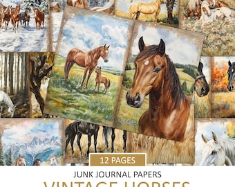 May include: A set of 12 vintage horse themed junk journal papers. The papers feature a variety of horses in different poses and settings. The papers are 8.5 x 11 inches and fold in half.