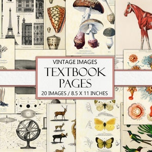 Vintage Junk Journal Paper, Authentic Textbook Pages, Various Illustrations, Junk Journal Ephemera, Printable Craft Kit, Collage, Download