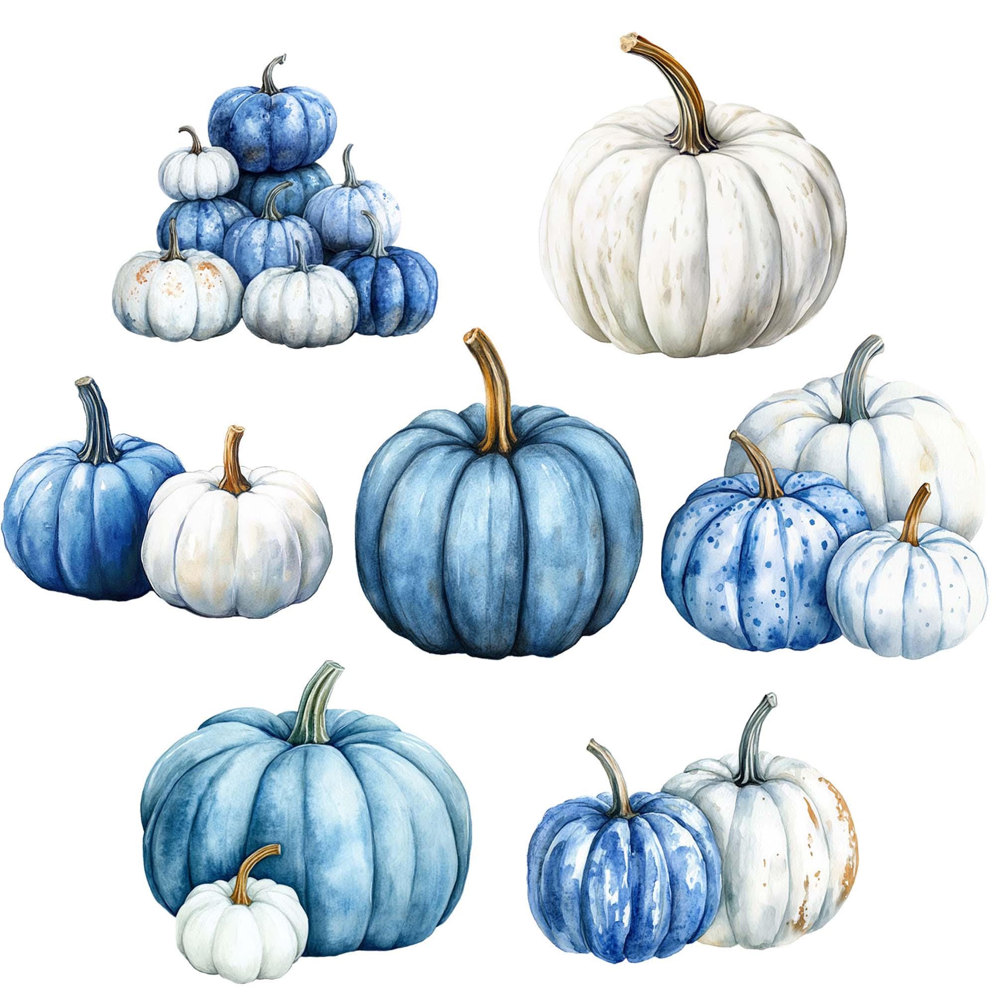 Watercolor Blue and White Pumpkins Clipart: Fall PNG (commercial Use ...