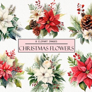 May include: Eight watercolor illustrations of Christmas flowers. The images feature red and white poinsettias, white camellias, pine cones, and sprigs of holly.