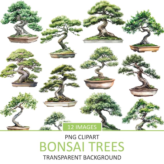 Watercolor Bonsai Trees Clipart: Japanese Art (digital Download) - Etsy  Israel
