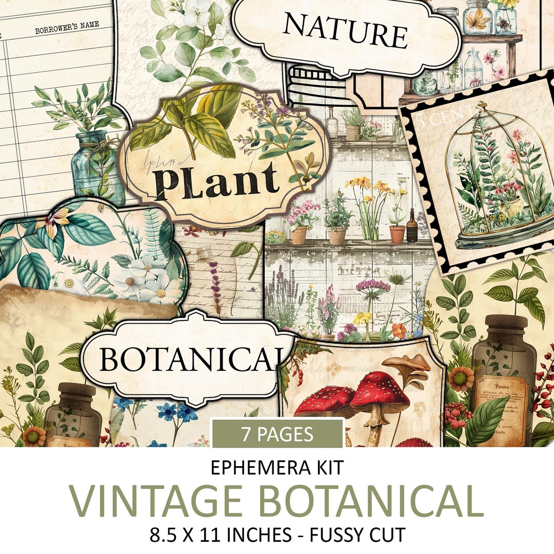 Vintage Botanical Ephemera Kit: Junk Journal Collage (printable) - Etsy