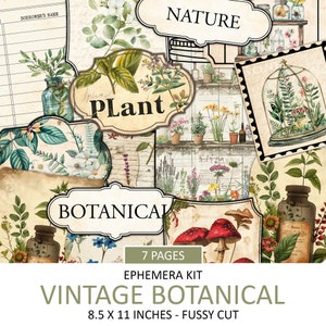 Kit de coisas efêmeras botânicas vintage, botânica antiga, planta verde, estética de jardim, corte complicado, suprimentos para diário de lixo, colagem, para impressão