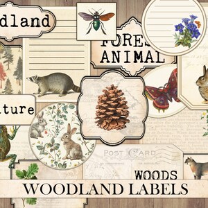 Etiquetas vintage de bosque, efímeras de diario, tarjetas antiguas, imágenes de bosques, animales, adornos para álbumes de recortes, cortes finos, descarga