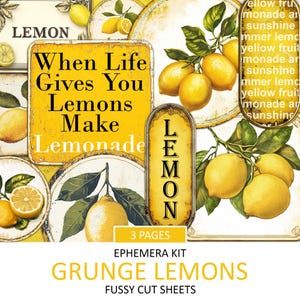 Kit de etiquetas efímeras de limones antiguos, recortes de diario grunge imprimibles, recortes elegantes, kit de collage de frutas amarillas, descarga instantánea