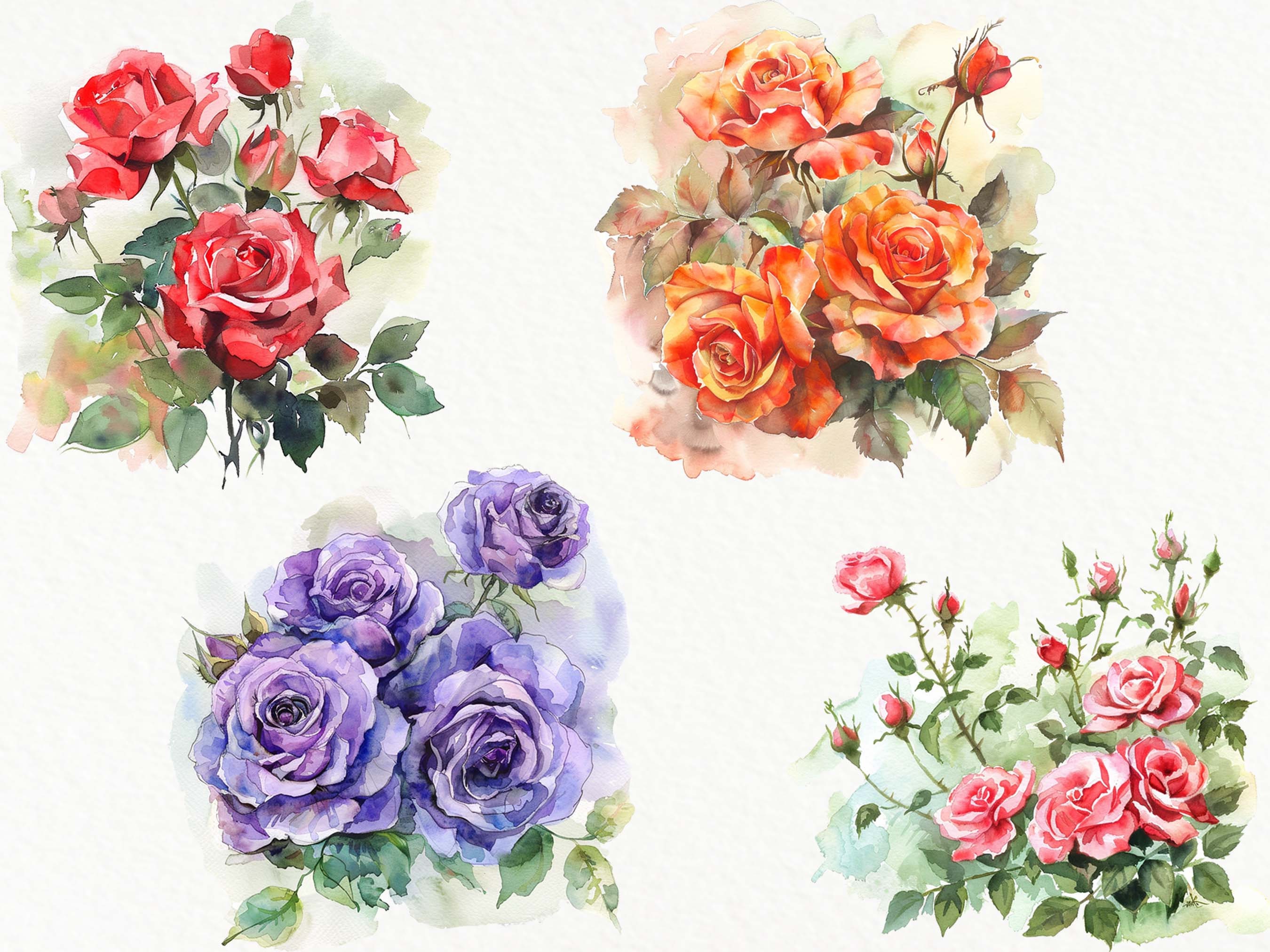 Watercolor Roses Clipart: Floral PNG Images, Commercial Use (digital ...