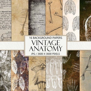 Vintage Anatomy Papers, Scrapbook, Junk Journal Paper, Distressed Design, Printable Ephemera, Antique Anatomy Pattern Kit, Instant Download