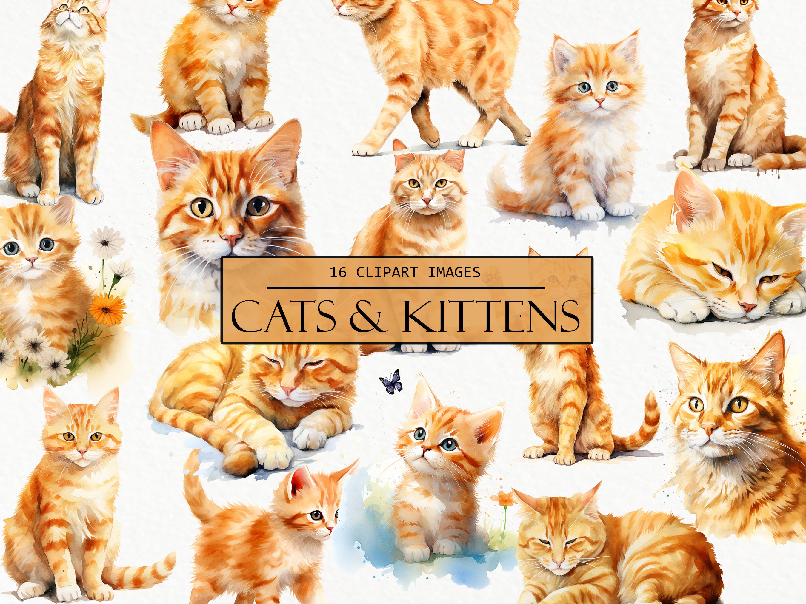 Clipart aquarel oranje kat: kitten png-afbeeldingen, commercieel gebruik  (digitale download) - Etsy België, image size:2700x2025