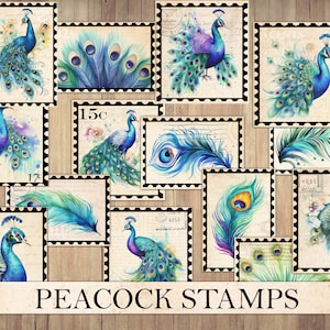 Sellos de acuarela de pavo real, efímera vintage, corte recargado, hoja de pegatinas, suministros para revistas basura, imágenes prediseñadas de aves, descarga instantánea