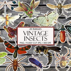 Vintage Insects, Printable Ephemera, Clipart, Junk Journal Embellishment, Fussy Cut, Bugs Clip Art, Butterfly, Beetle, PNG, Instant Download