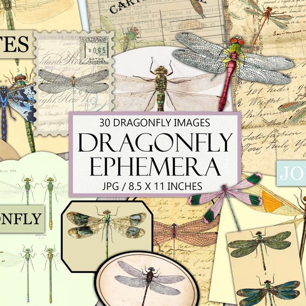 Printable Dragonfly Ephemera Kit, Vintage Fussy Cut, Junk Journal Supplies, Collage, Insect, Antique, Commercial Use