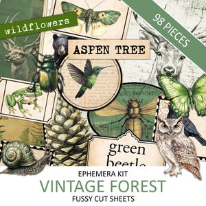 Kit d'éphémères forestiers vintage aquarelle, arbres anciens, nature verte, coupe soignée, fournitures pour journaux indésirables, collage, ajout de bois, téléchargement