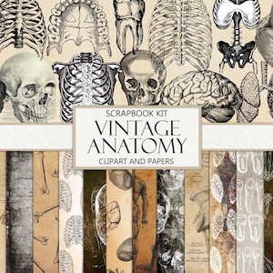 Anatomía antigua, kit de álbum de recortes, diario basura, vintage, efímera, ciencia, kit de manualidades de papel, recortes, adornos, descarga digital