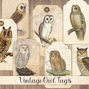 Etiquetas de búho vintage, efímera imprimible, pájaro antiguo, etiqueta de regalo, tarjetas de diario, corte quisquilloso, ave de presa, uso comercial, descarga instantánea