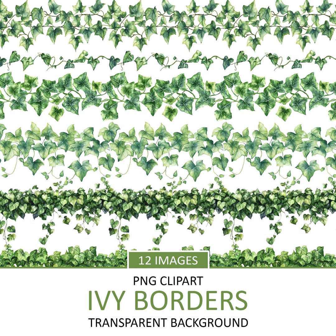 Seamless Ivy Border Clipart: Greenery Decoration (digital Download) - Etsy