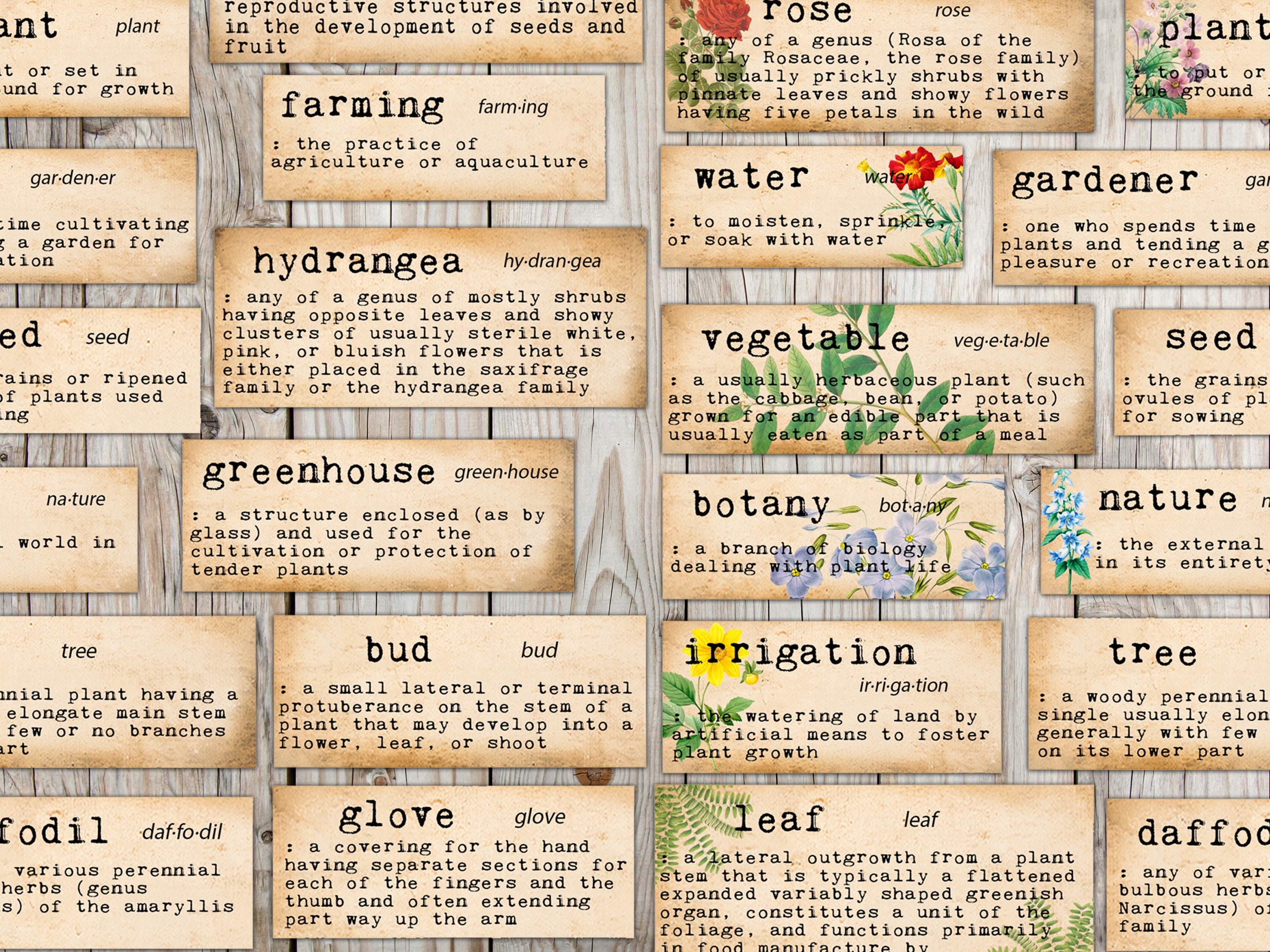 Printable Garden Themed Word Definitions Floral Junk Journal - Etsy