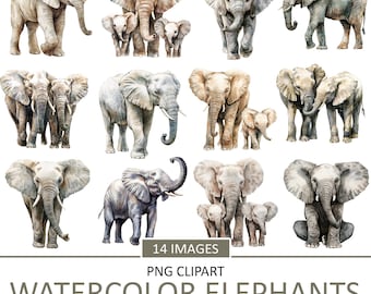 Watercolor Elephant Clipart: Vintage Style Animal Images (PNG Digital Download)