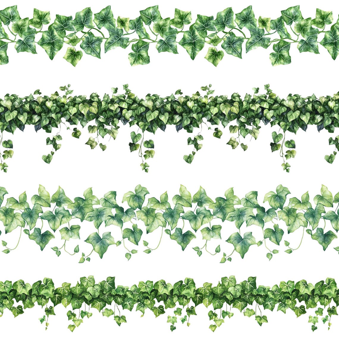 Seamless Ivy Border Clipart: Greenery Decoration (digital Download) - Etsy