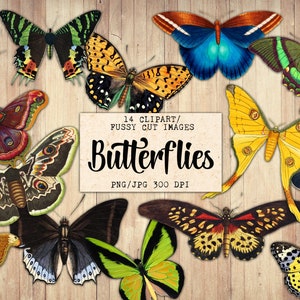 Digital Butterflies Clipart, Junk Journal Embellishment, Printable Ephemera, Fussy Cut, Butterfly Clip Art, Instant Download