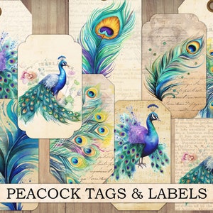 Etiquetas de pavão em aquarela vintage, coisas efêmeras para impressão, etiqueta de pássaro, cartões de diário da natureza, etiquetas de pavão, corte exigente, download instantâneo