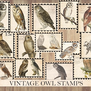 Vintage Eule Briefmarken, antike Ephemera, pingeliger Schnitt, Aufkleber Bogen, Junk Journal Zubehör, Natur Raubvogel, Instant Download
