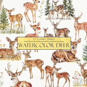 Aquarell Hirsch Clipart, Waldtiere, Natur Clip Art Sublimation, Reh und Rehkitz, Sammelalbum, Junk-Journal, kommerzielle Nutzung