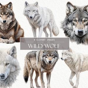 Aquarell Wilde Wölfe Clipart Pack, Wolf PNG, Waldtiere, Clip Art Grafiken, Illustration, Transparenter Hintergrund, Kommerzielle Nutzung
