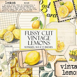 Kit d'éphémères de citrons vintage imprimable, esthétique de fruits anciens, coupe difficile, fournitures pour journaux indésirables, collage, jaune d'été, usage commercial