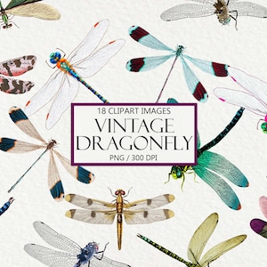 Vintage Dragonfly Clipart, 18 Old Images, Authentic Illustrations, Colorful Dragonfly, Clip Art for Commercial Use, PNG, Instant Download