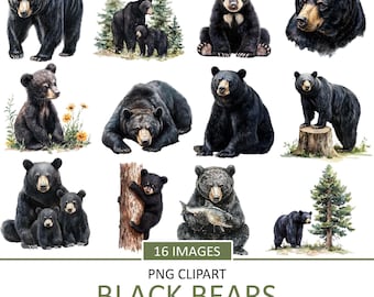 Watercolor Black Bear Clipart: Forest Animal PNG Images (Digital Download)