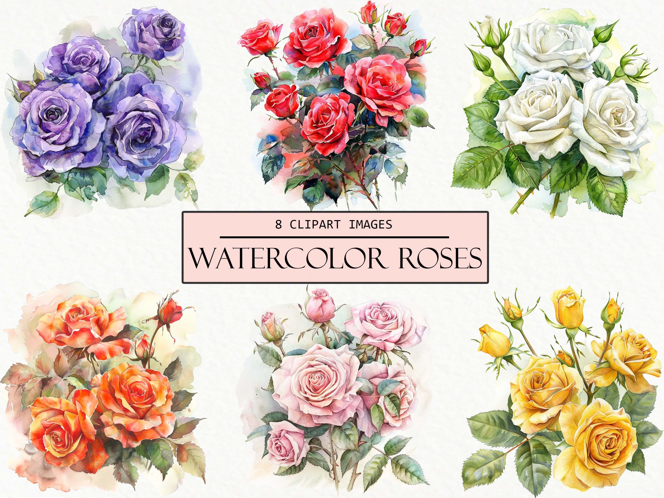 Watercolor Roses Clipart: Floral PNG Images, Commercial Use (digital ...