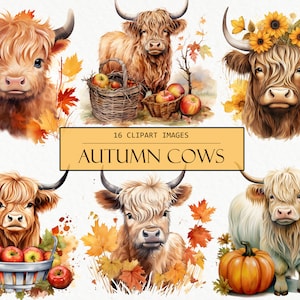 Aquarell Herbst Highland Kühe, Baby Kuh Bilder, Sublimation, Herbst Illustration, PNG Clip Art, Scrapbook, Junk Journal, kommerzielle Nutzung