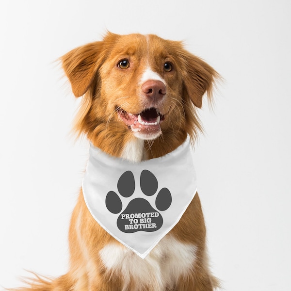 Dog Big Brother Etsy