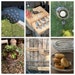 Avatar di VeronicasGardenStore