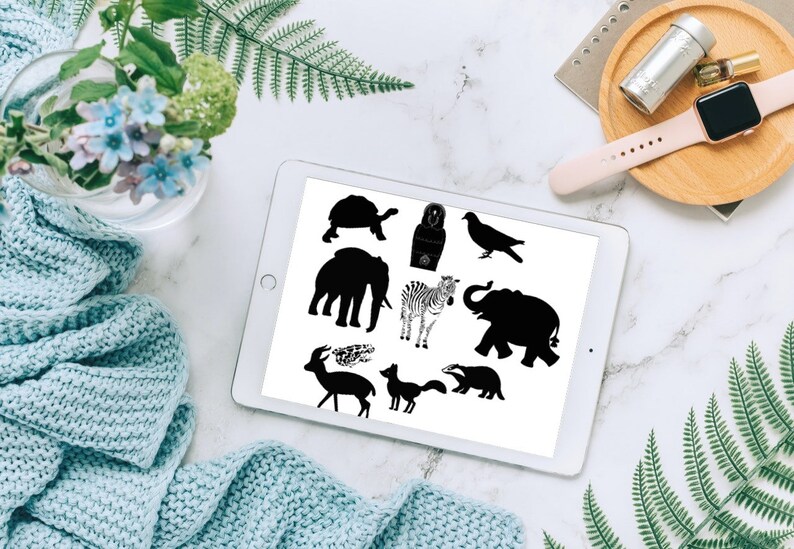 50 Beautiful Wild Animals Brush Stamps BUNDLE V 5 | Procreate Brushes ...