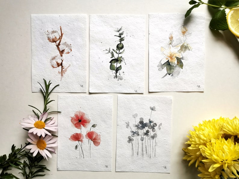 5 Botanical Postcards on Flower Seed Paper Handpainted Watercolor Illustration Print eco-friendly Flower Poppy Eucalyptus Cotton image 1