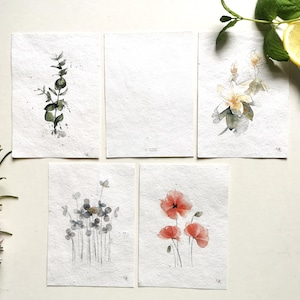 5 Botanical Postcards on Flower Seed Paper Handpainted Watercolor Illustration Print eco-friendly Flower Poppy Eucalyptus Cotton image 2