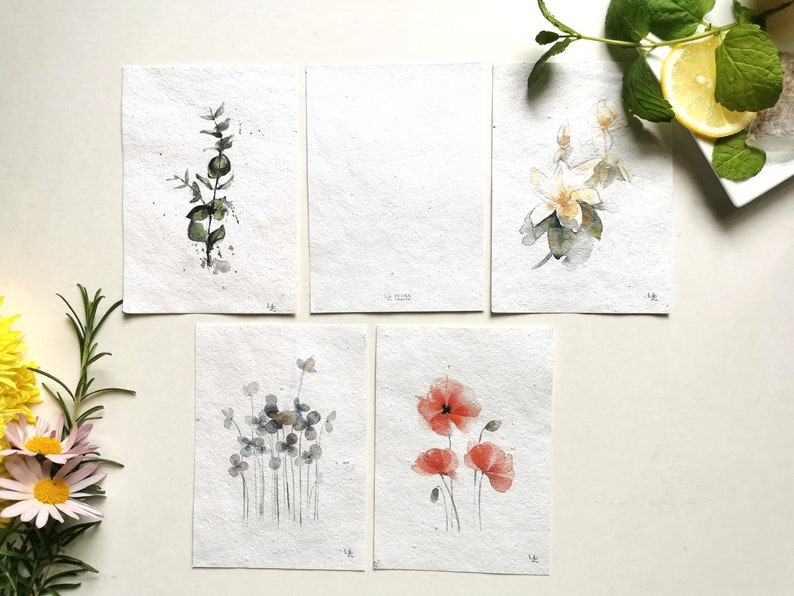 5 Botanical Postcards on Flower Seed Paper Handpainted Watercolor Illustration Print eco-friendly Flower Poppy Eucalyptus Cotton image 2