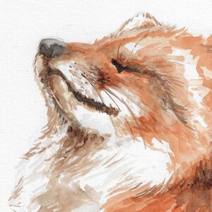 Red Fox Handpainted Watercolor Illustration Limited Fine Art Print Cute Animal Poster Animallover Gift Red Orange Soothing Calm image 5