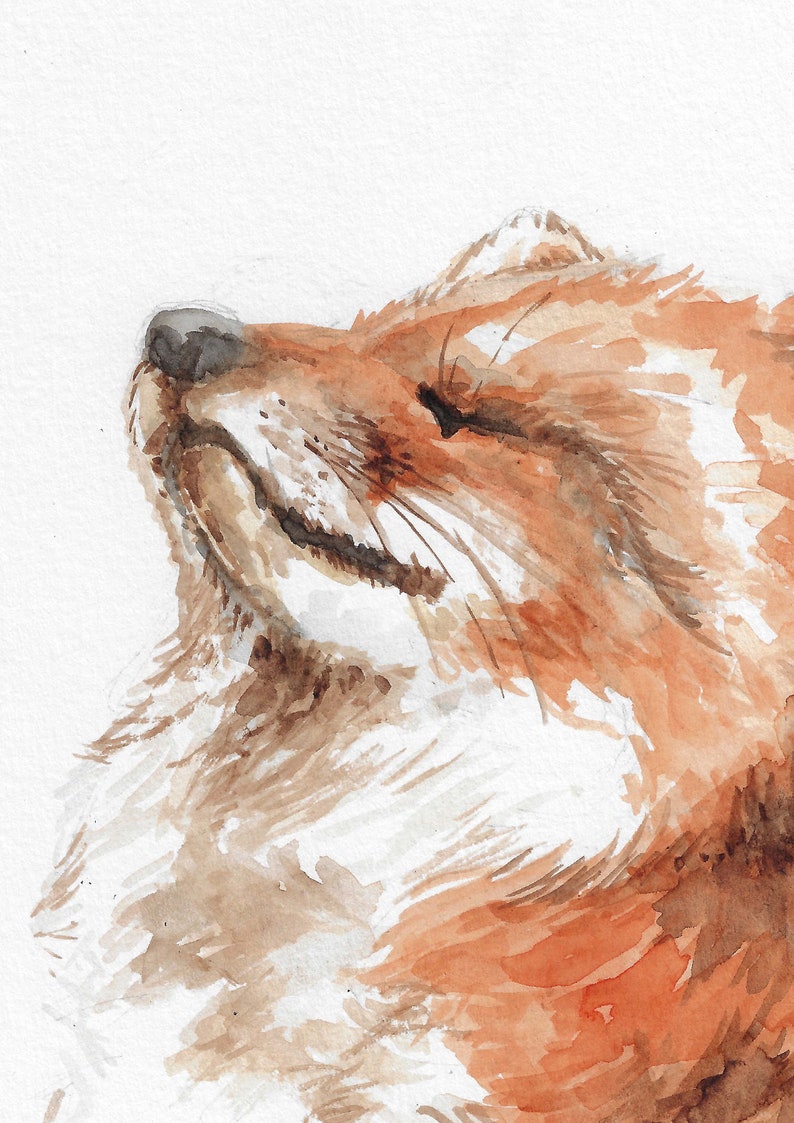 Red Fox Handpainted Watercolor Illustration Limited Fine Art Print Cute Animal Poster Animallover Gift Red Orange Soothing Calm image 5