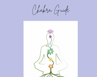 Chakra Ratgeber eBook
