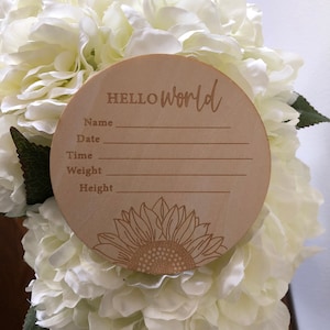 Baby Birth Announcement Plaque