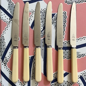 Vintage 1960s Six &#39;James Ryals&#39; Stainless Steel and Faux Bone Dessert Knives