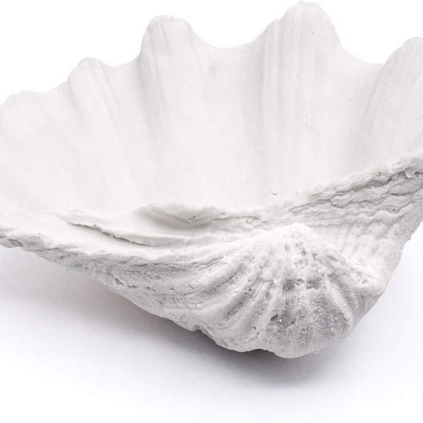 Sea Shell Resin Bowl