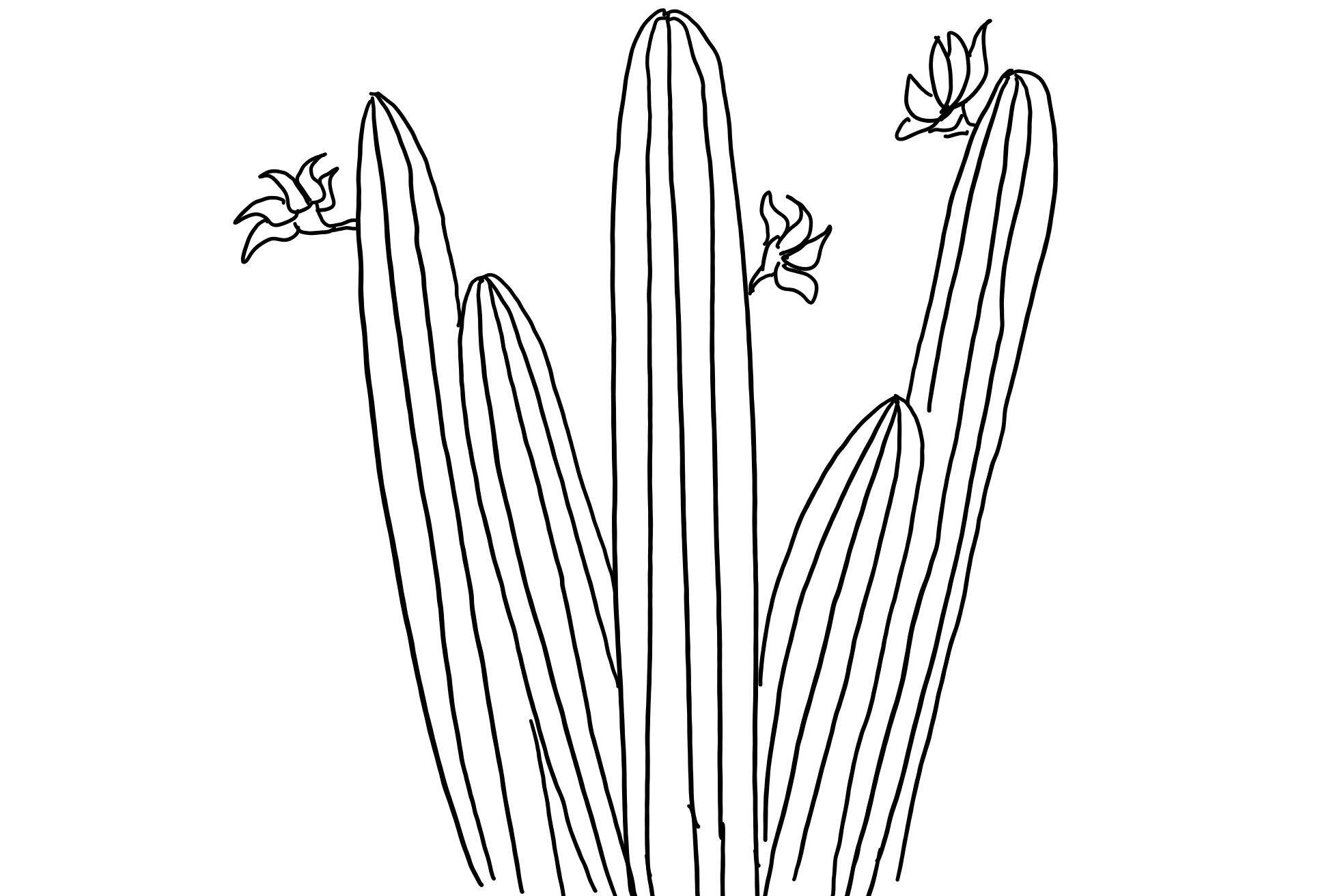 Cactus Coloring Pages Digital | Etsy