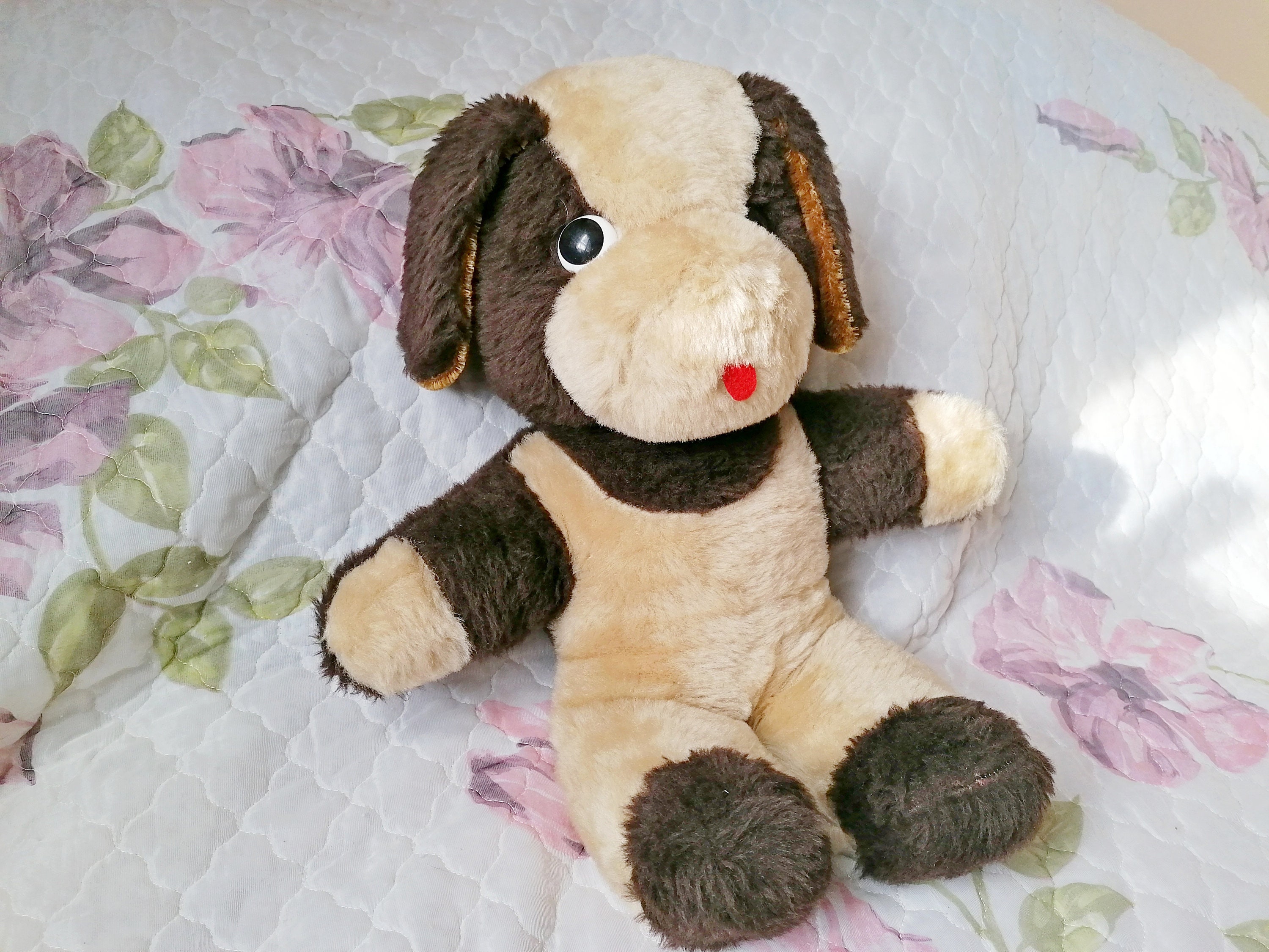 vintage dog teddy