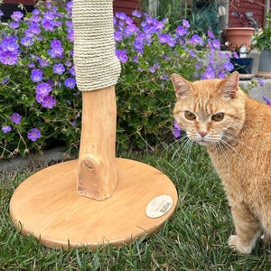 Hardwood Sisal Custom Cat Scratching Post Warm Catpuccino Tan Base Etsy