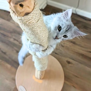 Hardwood Sisal Custom Cat Scratching Post