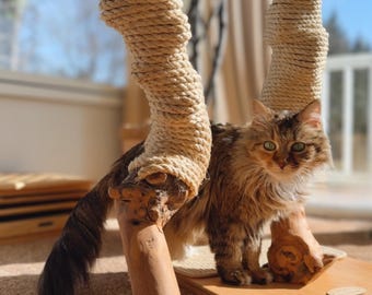 Pedido personalizado para Sami